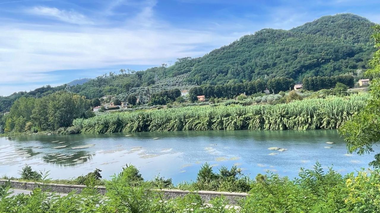 Appartamento Tra gli olivi Lucca Esterno foto