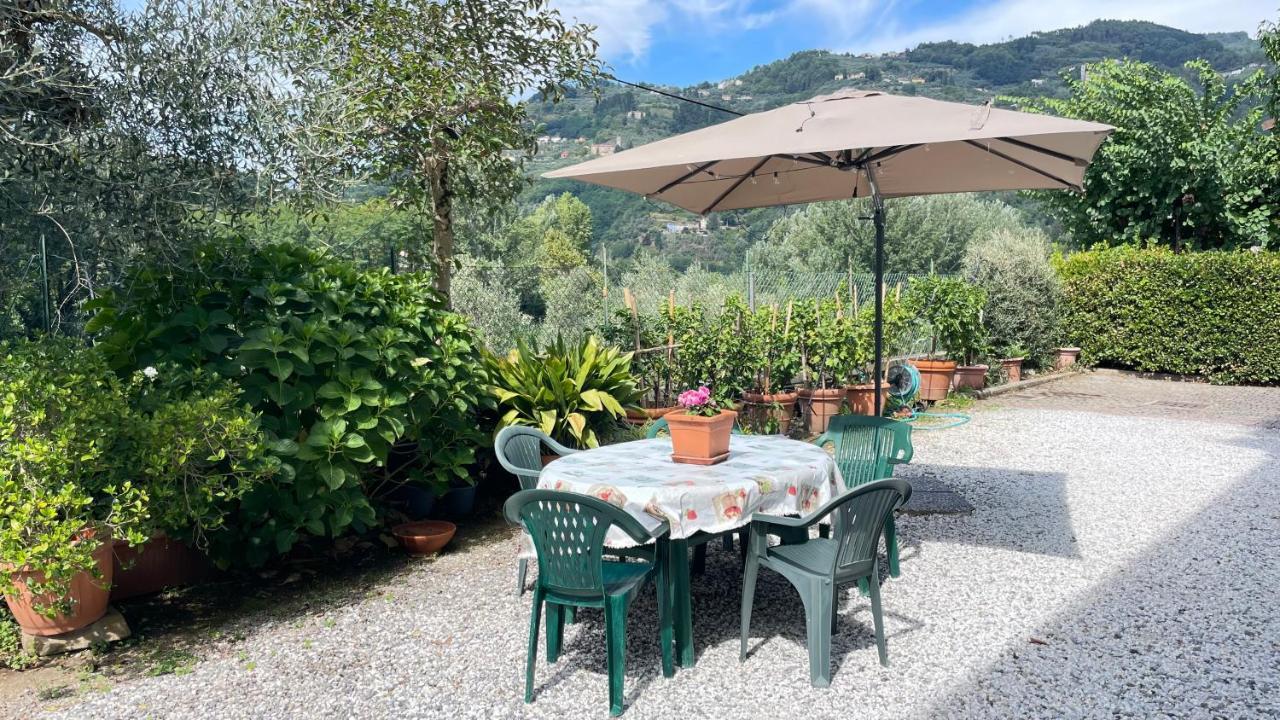 Appartamento Tra gli olivi Lucca Esterno foto