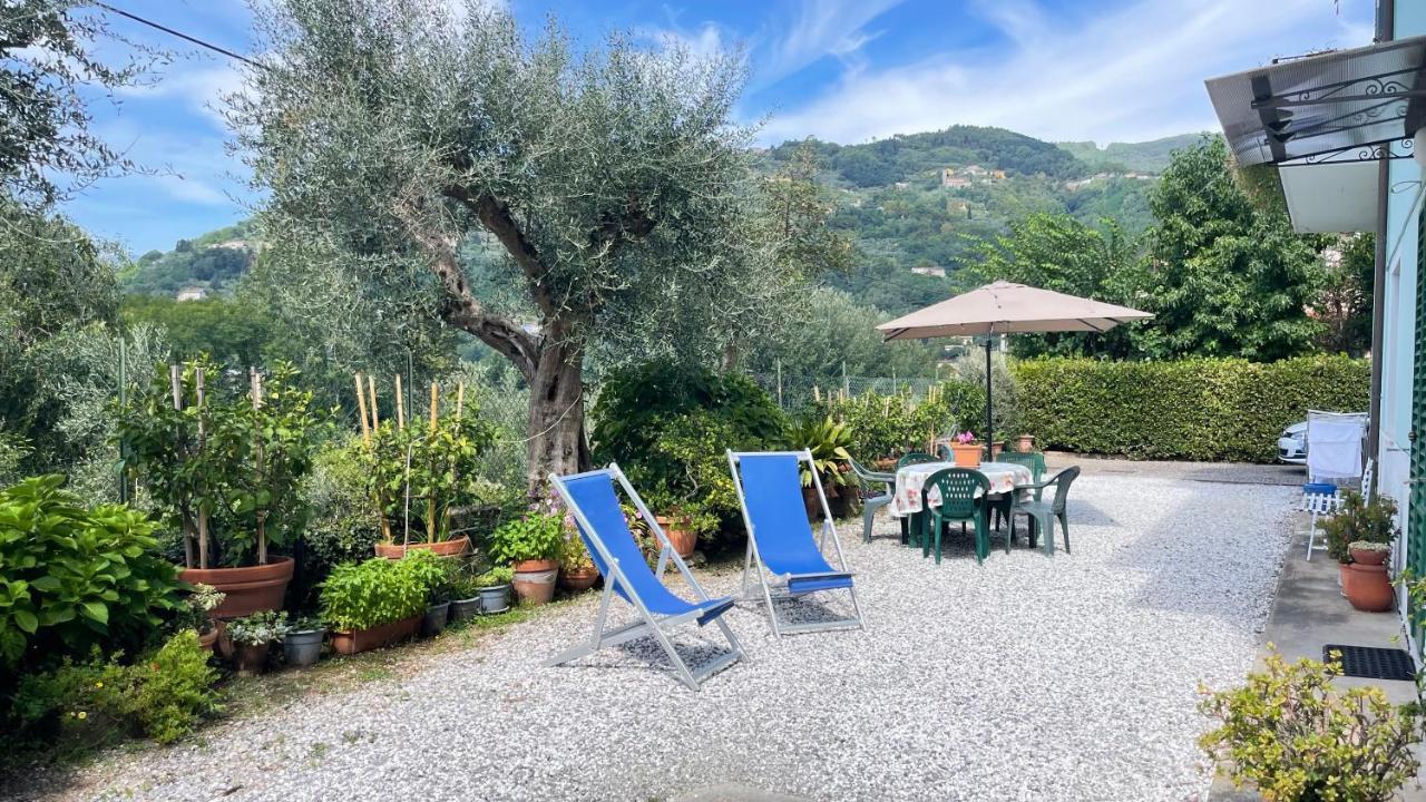 Appartamento Tra gli olivi Lucca Esterno foto