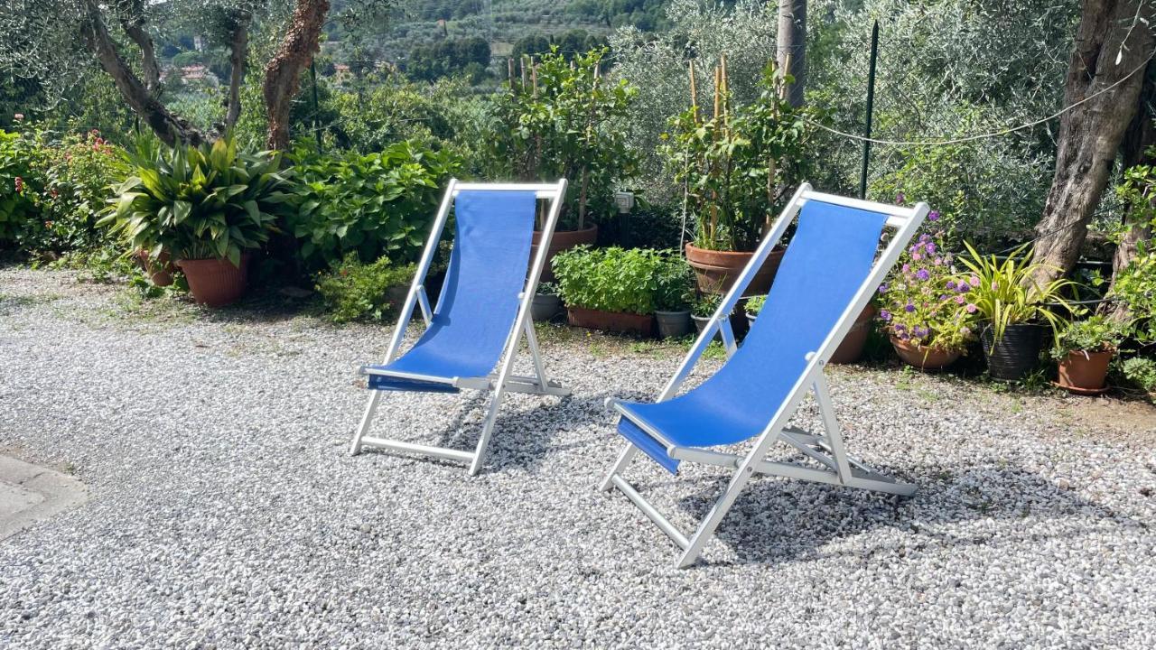 Appartamento Tra gli olivi Lucca Esterno foto