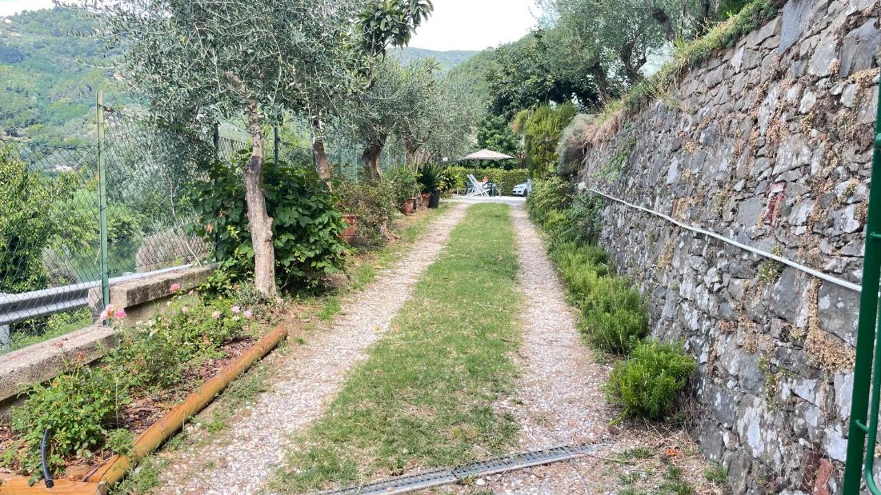Appartamento Tra gli olivi Lucca Esterno foto