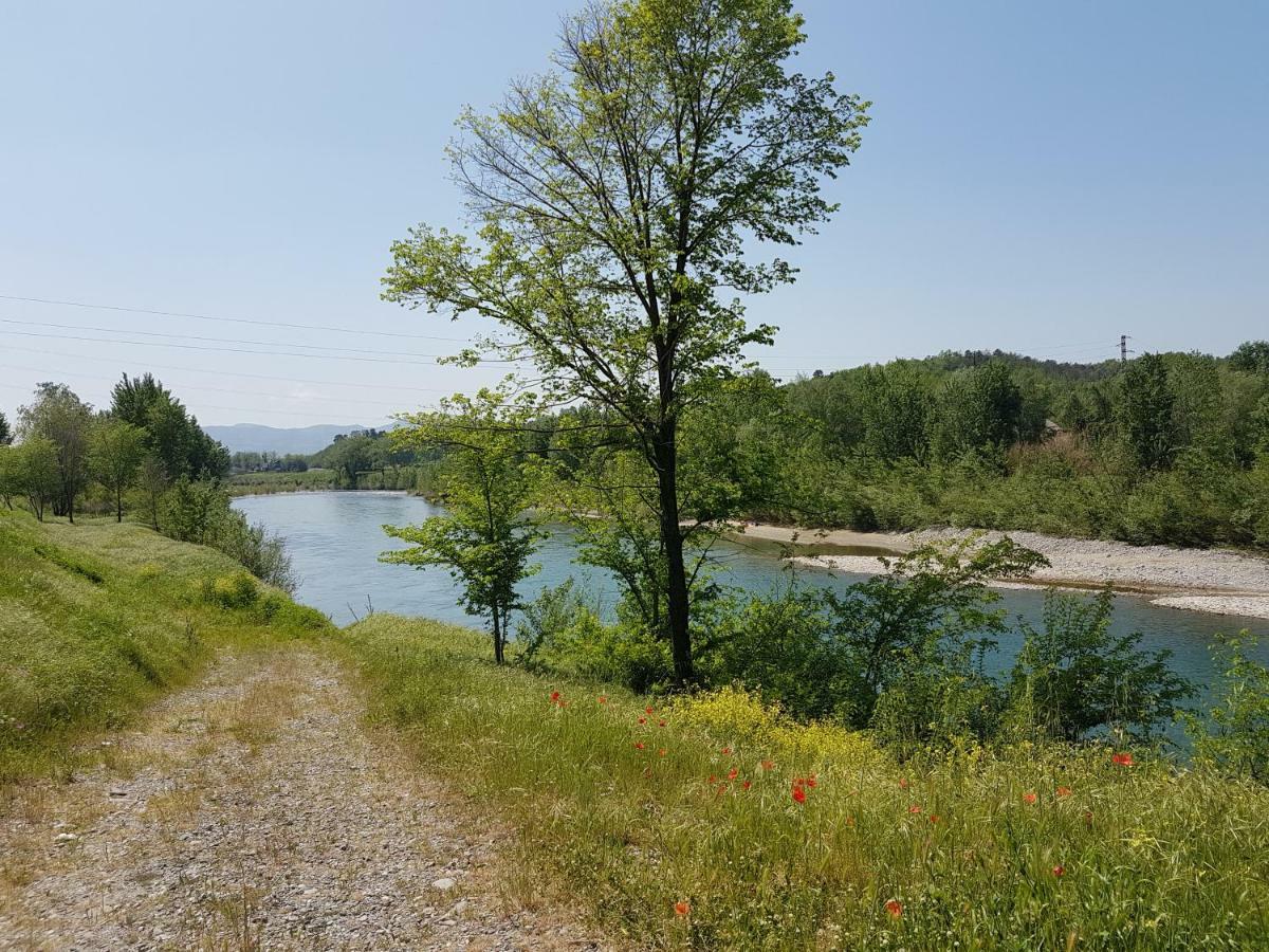 Appartamento Tra gli olivi Lucca Esterno foto