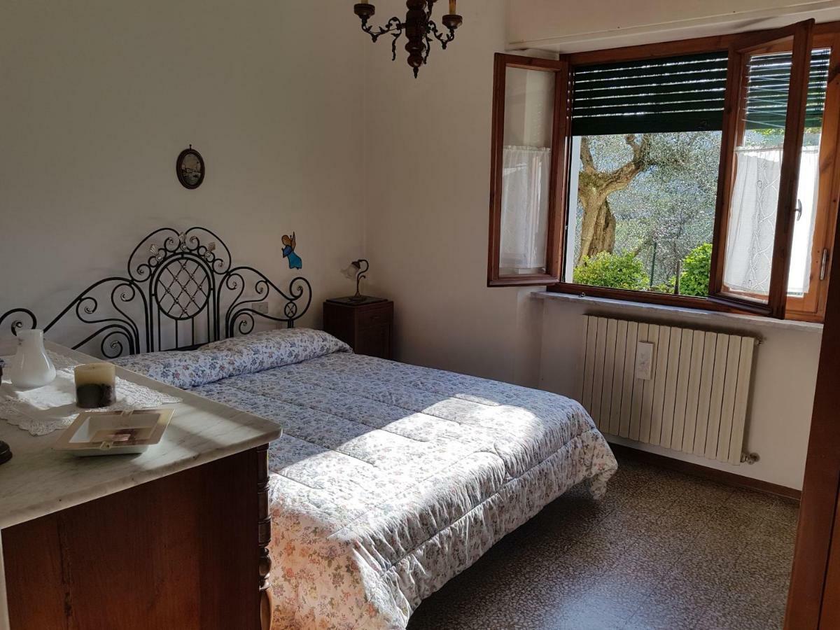 Appartamento Tra gli olivi Lucca Esterno foto